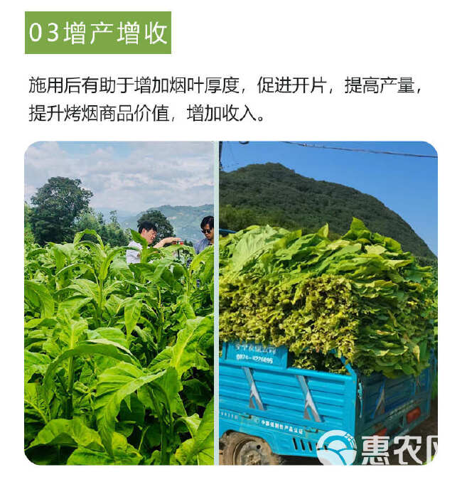 壮烟宝防控烟草黑胫病花叶病毒病青枯病烟草专用叶面肥