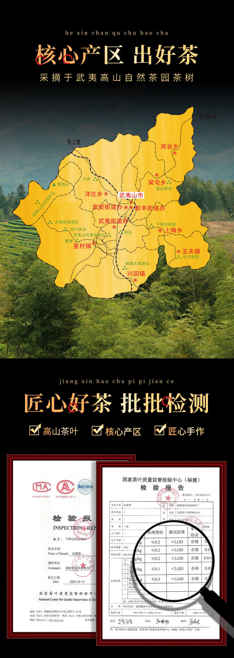 金骏眉茶叶红茶特级正宗浓香型金俊眉芽散装2024新茶送礼盒装