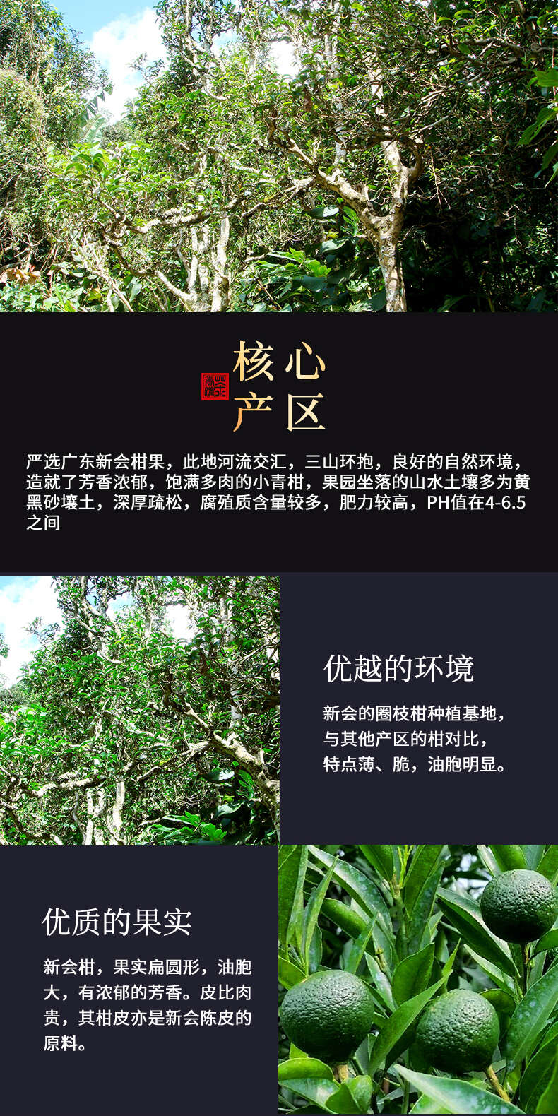 柑普茶  新会生晒小青柑普洱茶熟茶陈皮柑普橘普茶叶600g