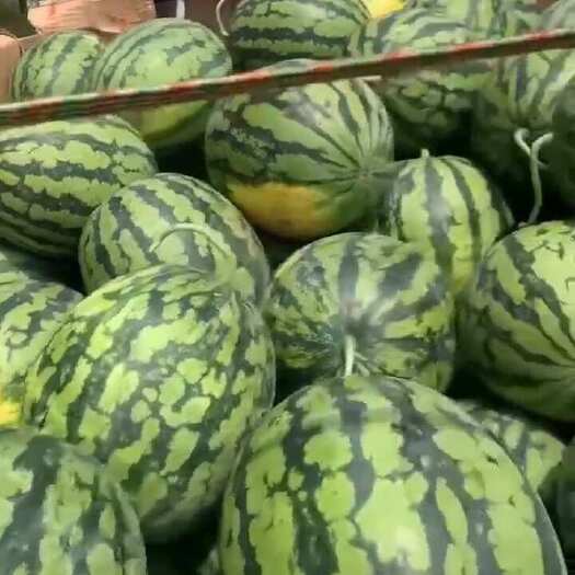 南宁西瓜