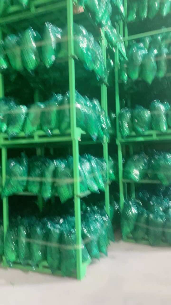徐州预冷红帽蒜苔代发全国