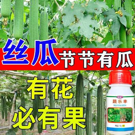 栾川县丝瓜专用增瓜灵增产增收叶面肥授粉座果加粗增瓜剂拉直拉长水溶肥