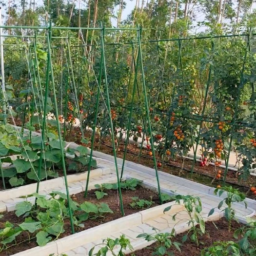 临沂排水板