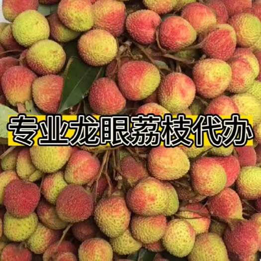  荔枝
