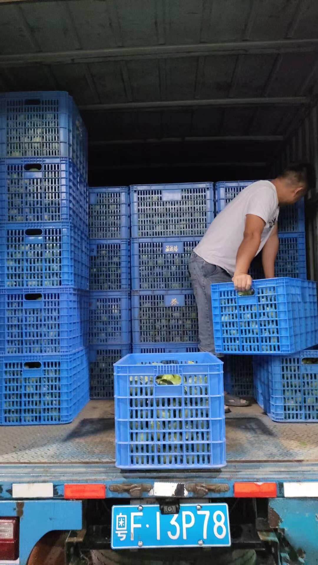 广东香水柠檬无籽【一级果】单件、批发新鲜采摘产地直发