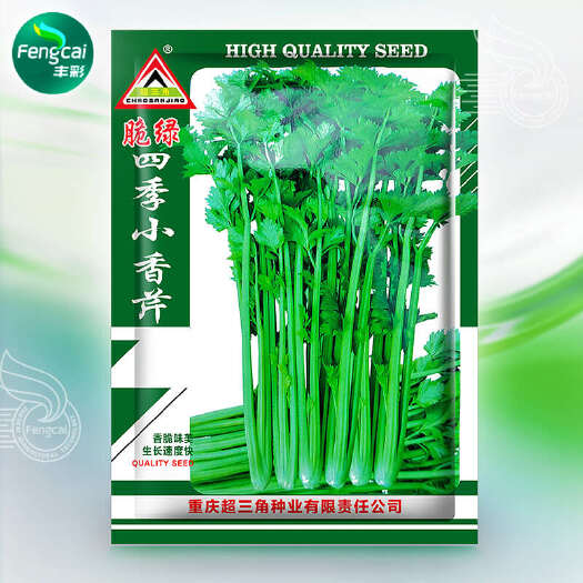 绵阳四季小香芹种子 脆绿小芹菜种子 生长速度快 香脆味美