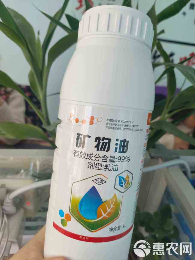 99%矿物油柑橘红蜘蛛介壳虫茶树茶橙瘿螨用药杀虫剂清园专用