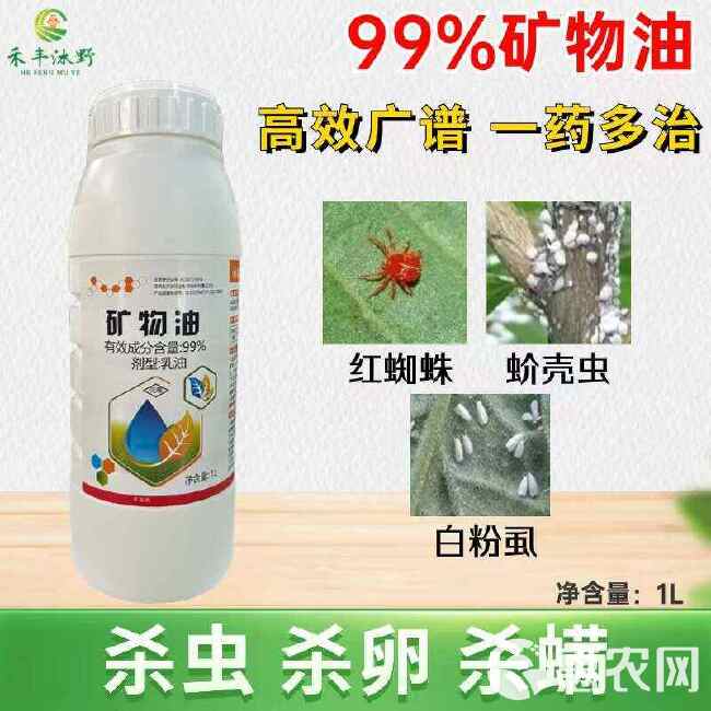 99%矿物油柑橘红蜘蛛介壳虫茶树茶橙瘿螨用药杀虫剂清园专用