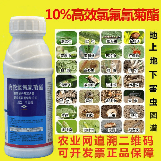 潍坊10%高效氯氟氰菊酯蚜虫菜青虫地老虎红蜘蛛叶蝉地蛆杀虫剂
