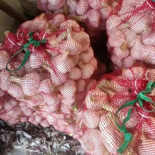 邳州精品杂交鲜蒜17-20号大批量上市，需要提前联系