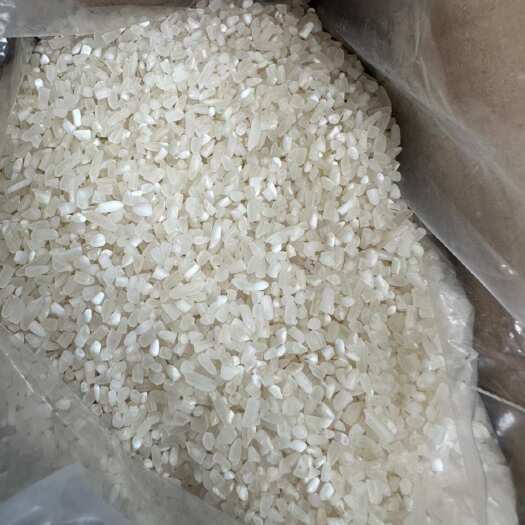 钦州缅甸泰国老挝碎米（硬碎 杜卡碎）