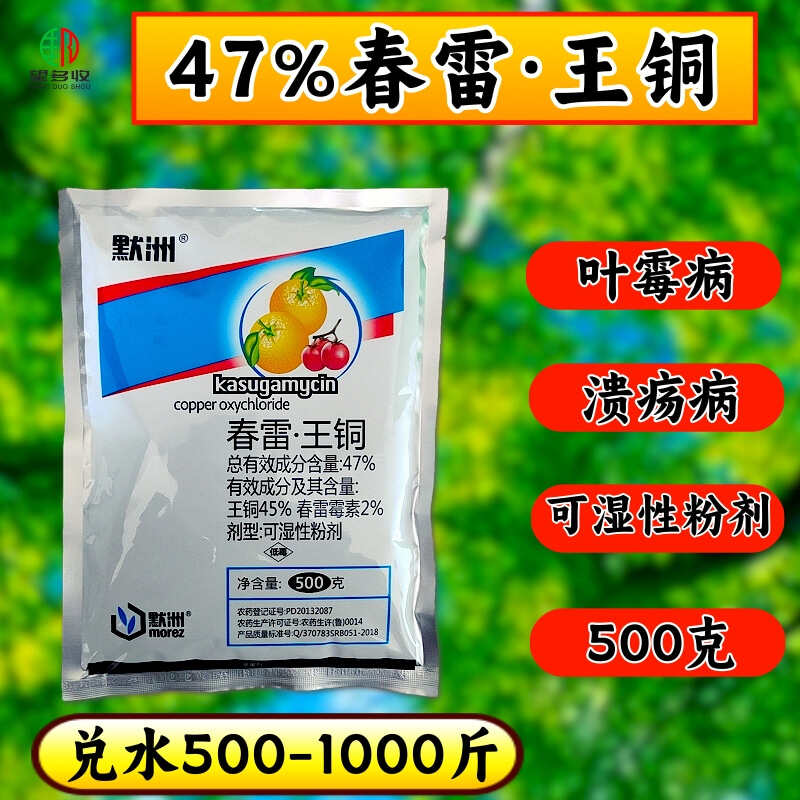 番茄叶霉病最佳用药图片