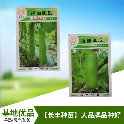 武汉【长丰种苗】短棒瓠子瓜种子 西葫芦种子 长蒲瓜种子大棚露地播