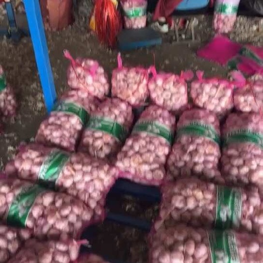 金鄉(xiāng)縣大蒜