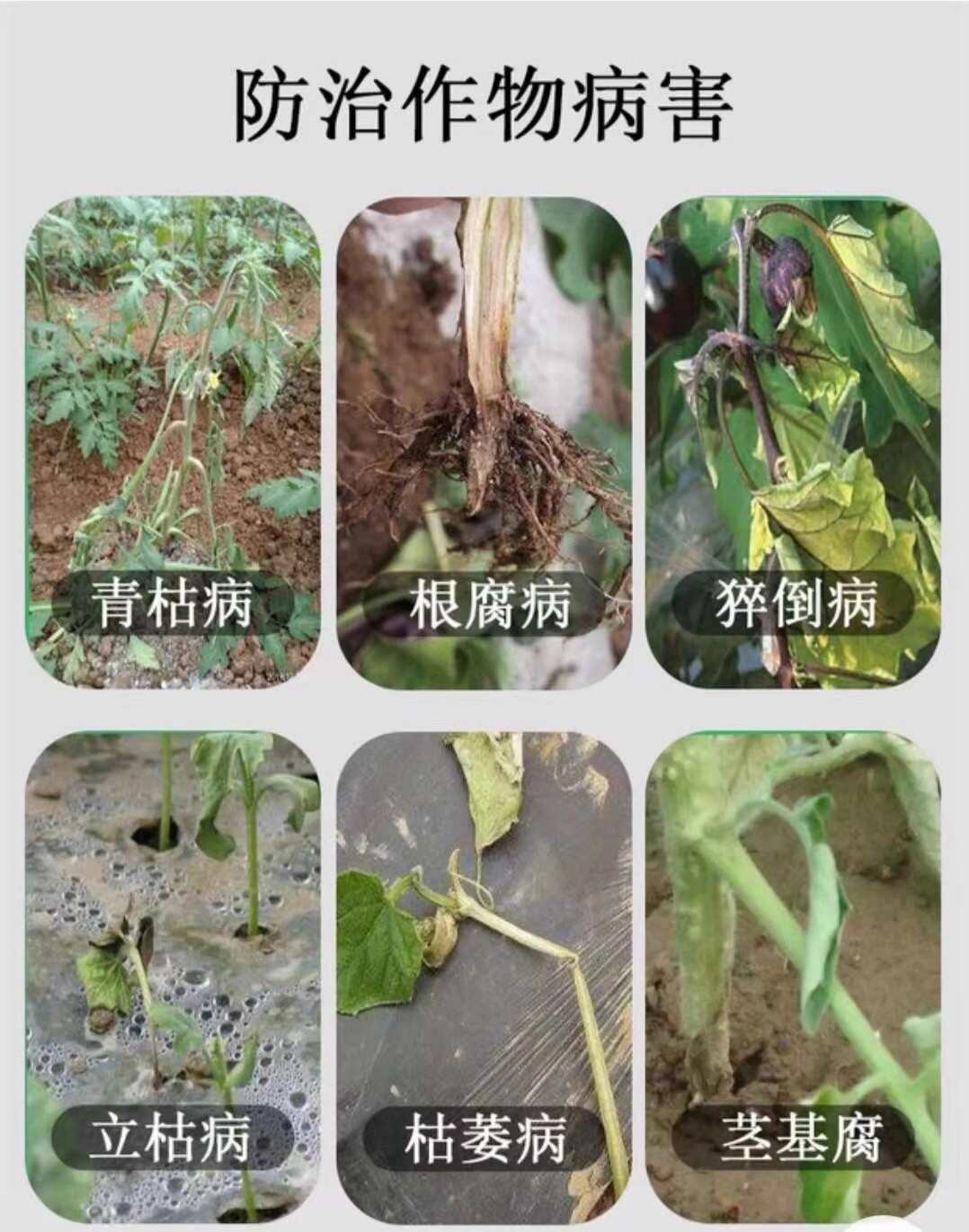 30%甲霜恶霉灵杀菌剂死苗烂根腐立枯病专用药土壤农药杀菌剂