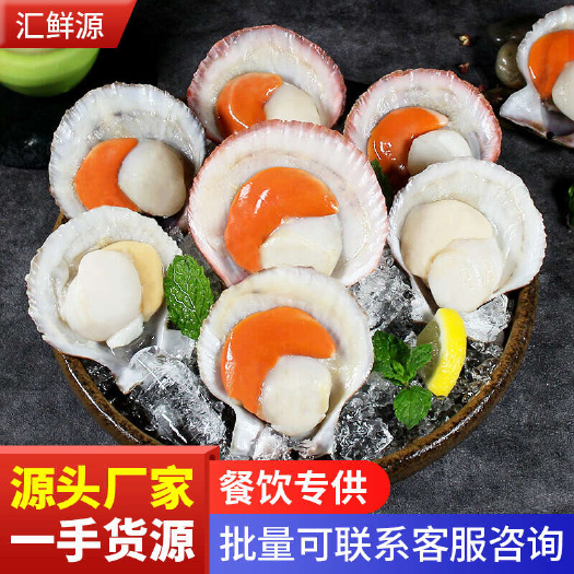深圳批发冷冻半壳扇贝整箱虾夷扇贝烧烤火锅餐饮海鲜酒店食材