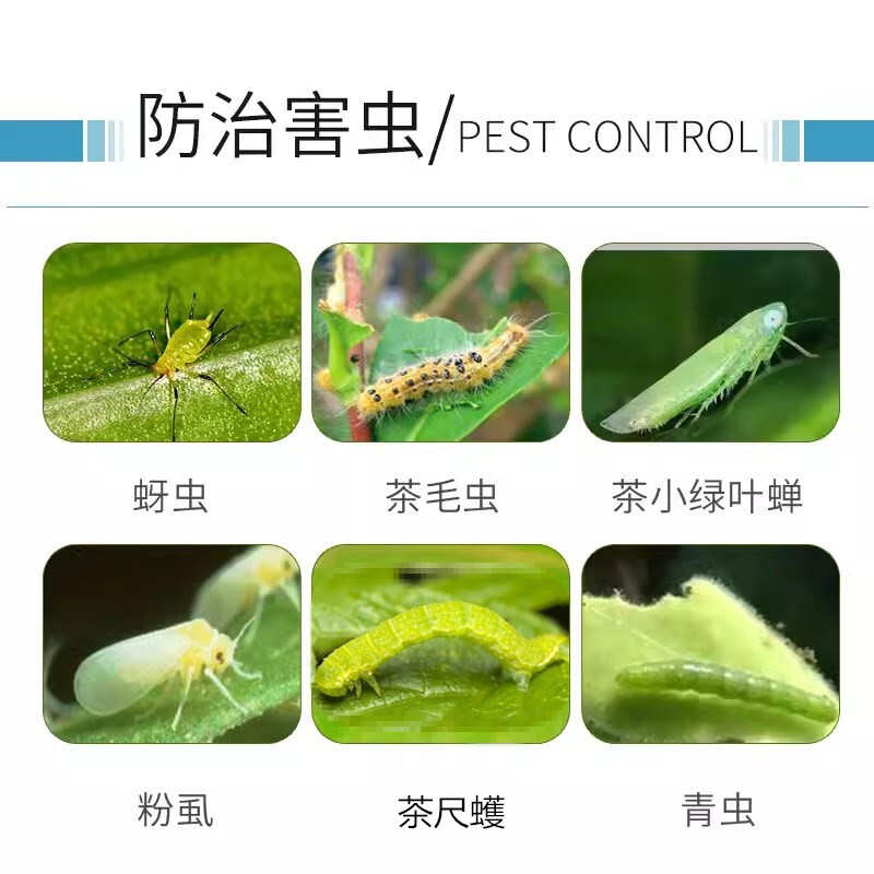 联苯菊酯茶小绿叶蝉蚜虫白粉虱茶树花卉果树蔬菜农药杀虫剂