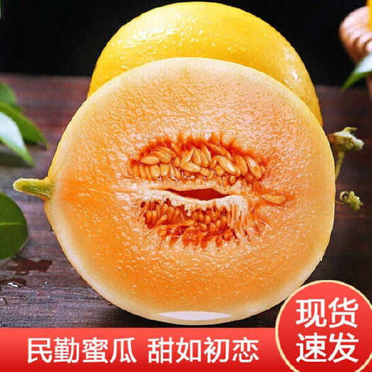 民勤县陕西阎良黄金蜜瓜黄河蜜黄金蜜瓜沙漠甜瓜金红宝民勤蜜瓜一件代发