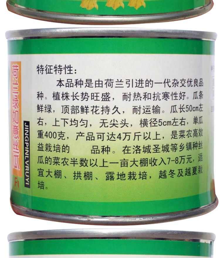 荷兰绿如意丝瓜种子 耐热耐寒 荷兰引进 瓜条鲜绿 耐运输