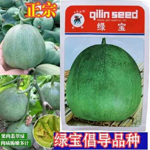 绿宝甜瓜种子 早熟 薄皮甜瓜 绿皮绿肉 脆甜清香 基地种植