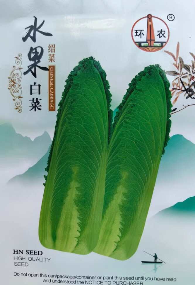 水果白菜种子 绍菜种子 甜脆薄叶 青麻叶种子 基地种植