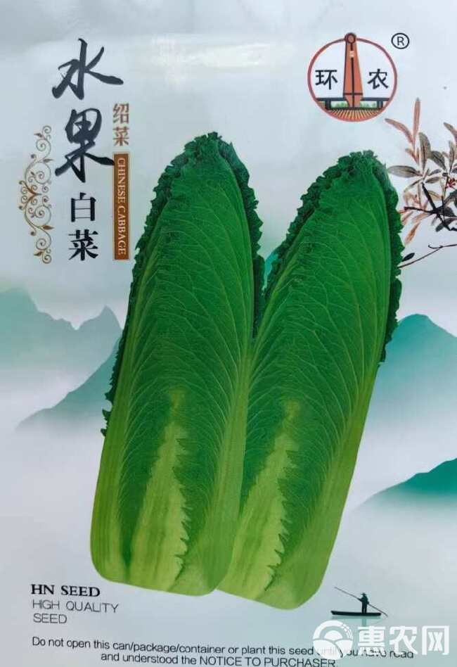 水果白菜种子 绍菜种子 甜脆薄叶 青麻叶种子 基地种植