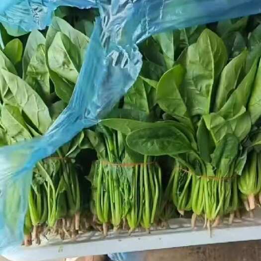 南通欢迎各位老板下单