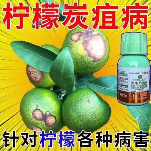 栾川县柠檬病荃管柠檬专用抑菌肥快速杀菌抗病抑制侵染微生物菌肥炭疽病