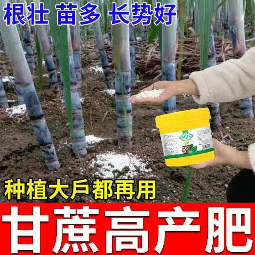 栾川县甘蔗专用生水溶肥甘蔗生根菌肥猛生根壮苗剂根多根粗狂爆生根