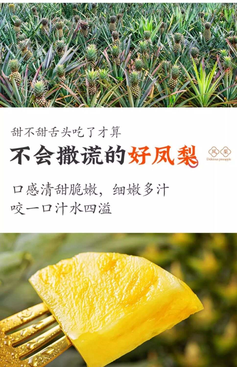 云南金钻凤梨非徐闻菠萝新鲜水果无眼手撕甜香水菠萝3/9斤装整