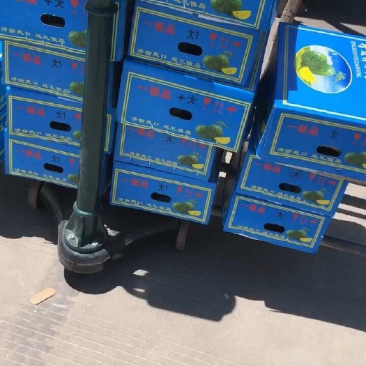 温岭市温岭特小凤西瓜