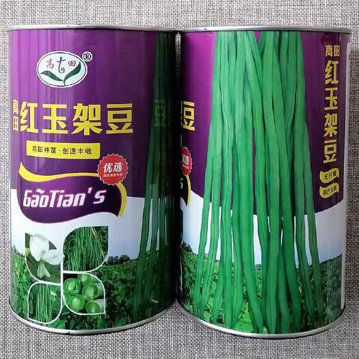 红玉架豆种子 无筋豆种子 品质鲜嫩 无纤维 基地种植