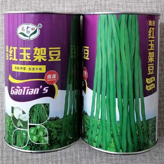 漯河红玉架豆种子 无筋豆种子 品质鲜嫩 无纤维 基地种植