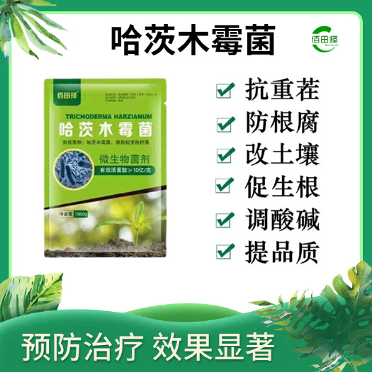 潍坊佰田择哈茨木霉菌改良土壤防根腐死棵有机菌肥农用微生物菌剂