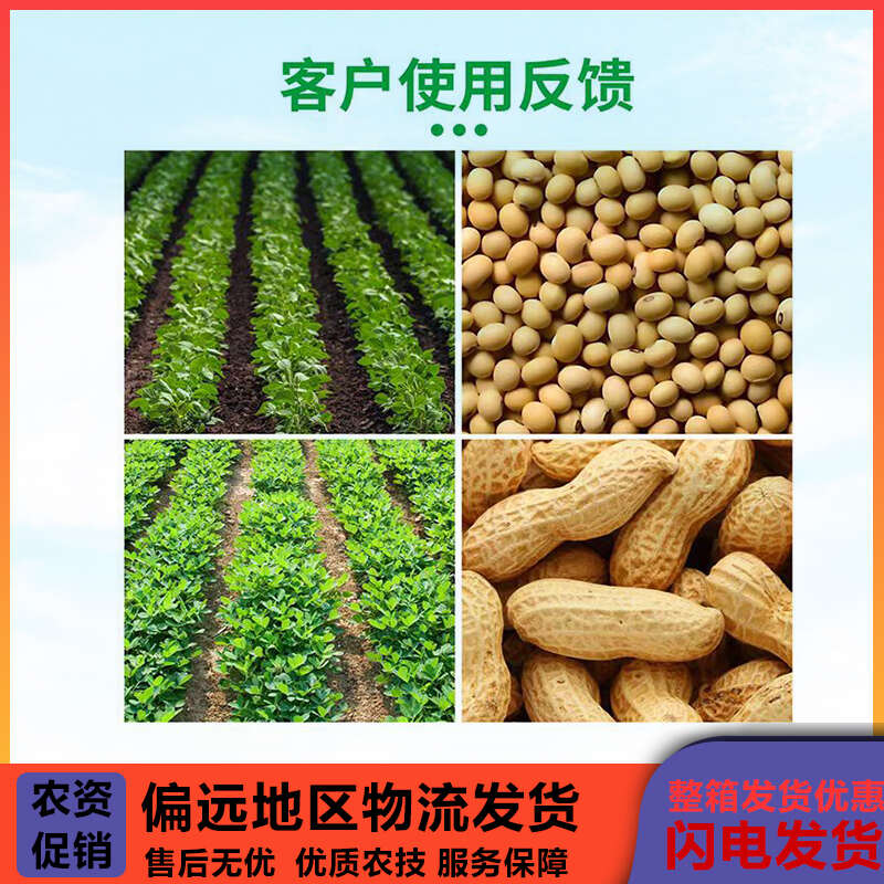 茅大师硼锌钼叶面肥硼中钼叶面肥大豆花生增产农用正品水溶肥