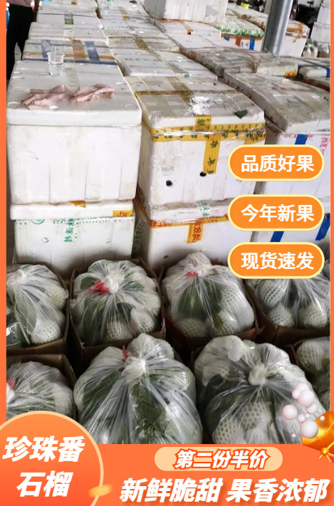 化州市珍珠番石榴，现摘现发，新鲜上市，欢迎咨询
