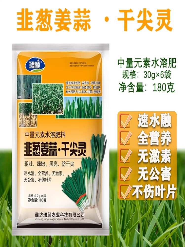 韭葱姜蒜干尖灵粗壮绿嫩黑亮防干尖全营养不伤叶片无激素无公害