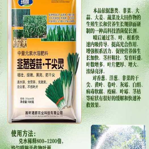 寿光市韭葱姜蒜干尖灵粗壮绿嫩黑亮防干尖全营养不伤叶片无激素无公害