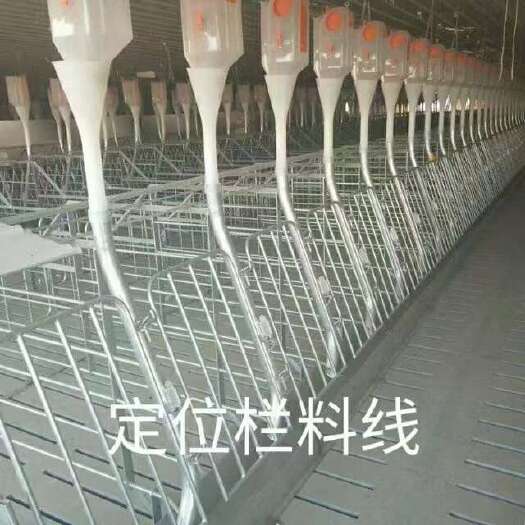 泊头市养殖料线定位栏料线产床料线