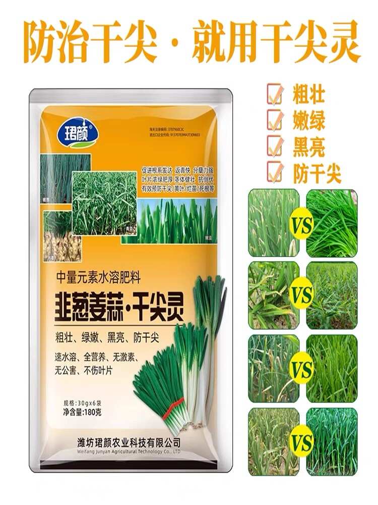 韭葱姜蒜干尖灵粗壮绿嫩黑亮防干尖全营养不伤叶片无激素无公害