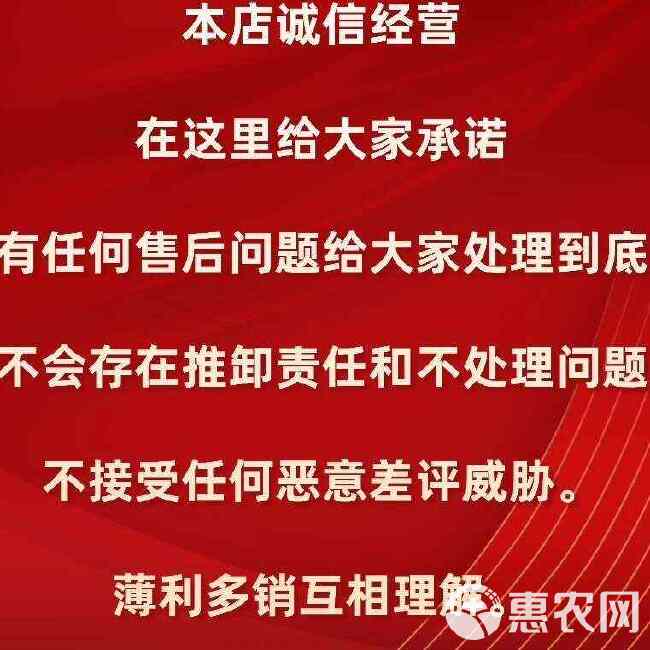 珍珠番石榴，白心芭乐，产地直发，量大优惠！