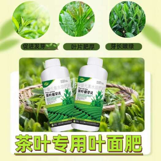 玉林茶叶催芽灵叶面肥水溶肥茶树催芽叶片肥厚芽嫩浓密增产增收