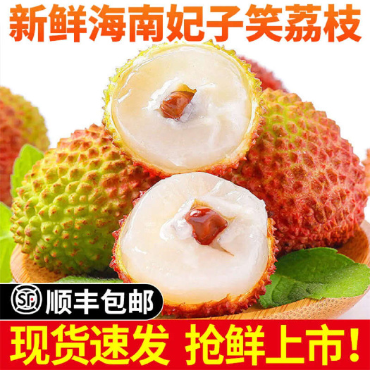 吴川市海南·妃子笑荔枝顺丰冷链3斤/5斤/礼盒装一件代发
