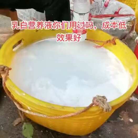  菌菇营养液