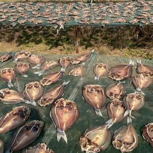鄱阳县鲤鱼干