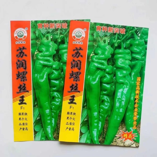 苏润螺丝椒种子 早熟 耐低温 抗高温 抗病 辣味浓 基地种植