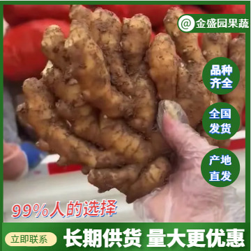 沂水县电商货/市场货【小黄姜】支持出口加工，【沙土姜/水洗姜/】