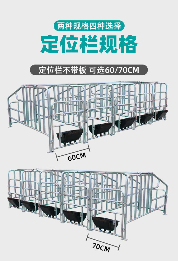 集中養(yǎng)殖定位欄 母豬定位欄 漏糞板式定位欄