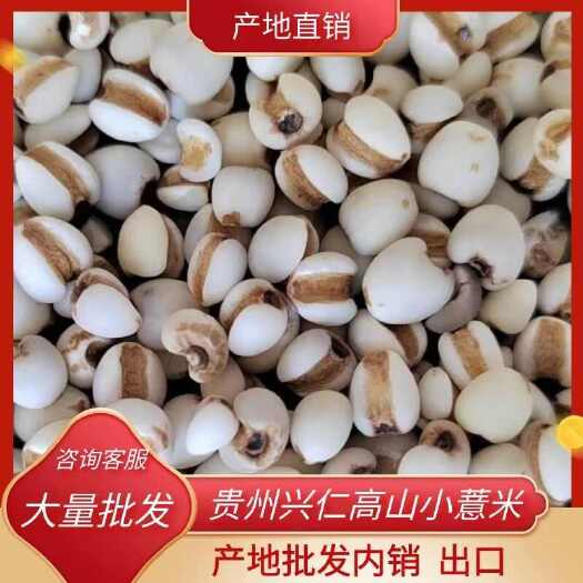 贵州兴仁高山白壳小薏米，药用价值，高产地批发，内销、出口。