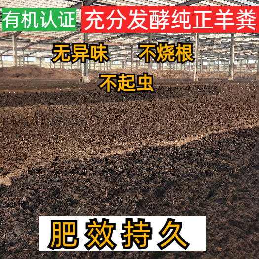 盐城土壤调理剂  养殖场直销纯羊粪蛋货真价实
